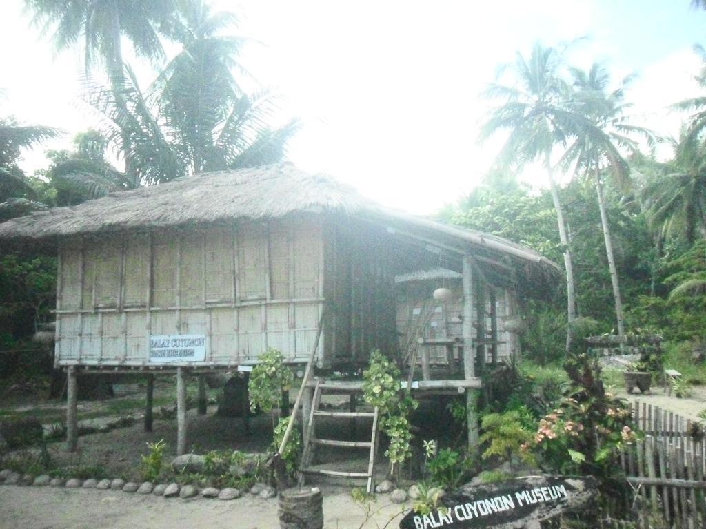 Erlittop Nature Lodge El Nido Eksteriør bilde